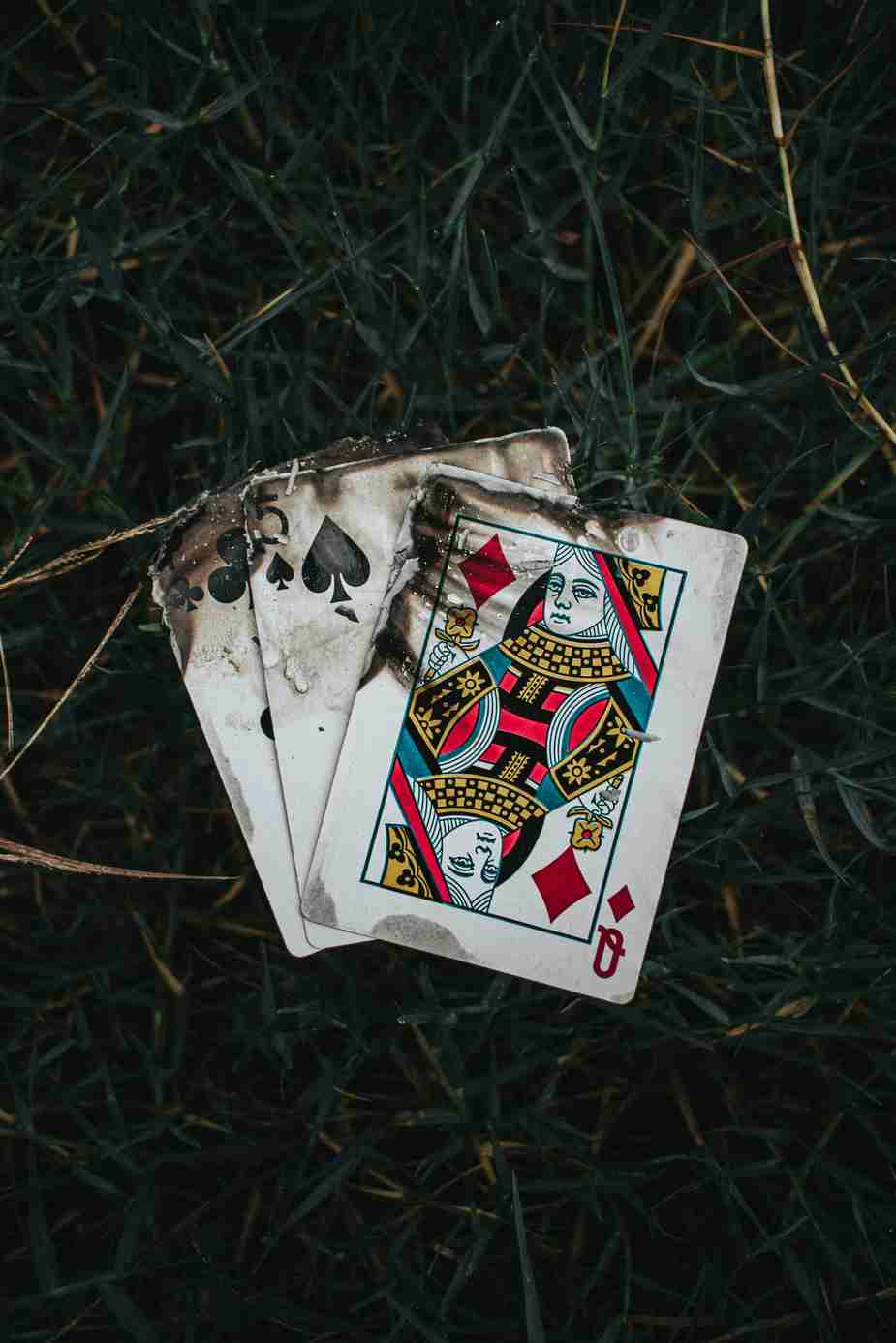 nomini casino nomini casino